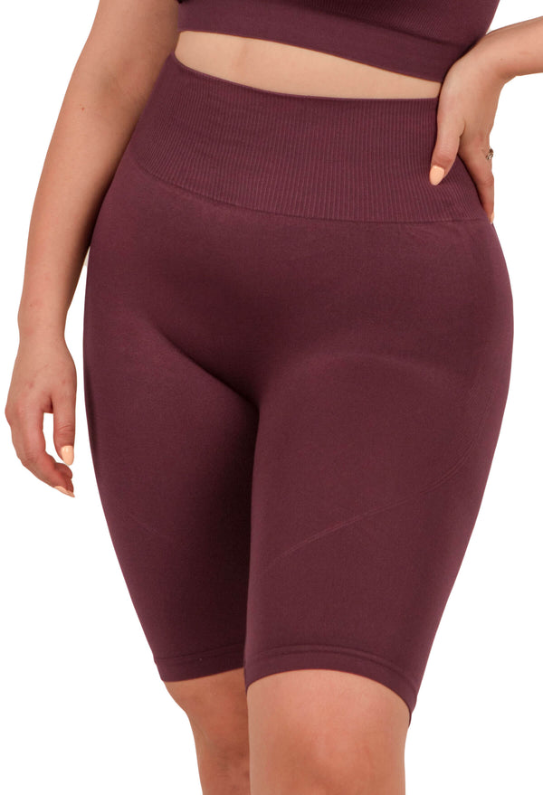 Plus Size Square Neck Short Sleeve Crop Top & High Waist Long Biker Shorts